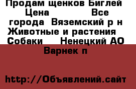 Продам щенков Биглей › Цена ­ 15 000 - Все города, Вяземский р-н Животные и растения » Собаки   . Ненецкий АО,Варнек п.